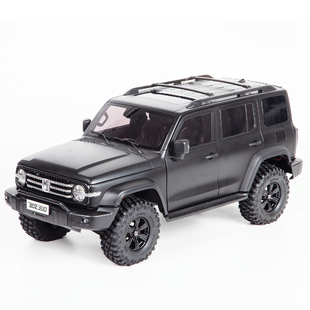 Tank300 HS IFS-Black